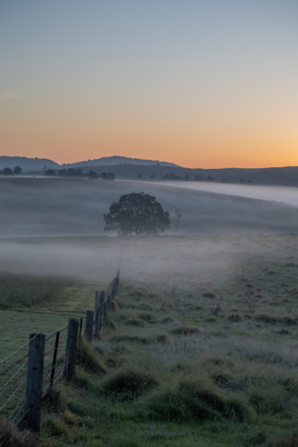 A misty morning in the country under an orange dawn sky - Australian Stock Image