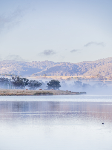 A misty morning on a country dam under pale blue skies - Australian Stock Image