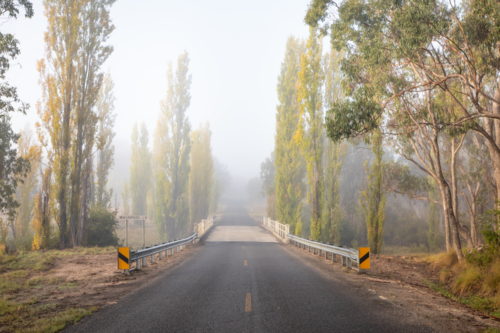 A misty morning on a country road with poplars just about to turn golden - Australian Stock Image