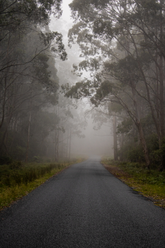 A misty morning on a moody mountain road - Australian Stock Image