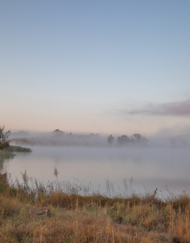 A misty morning on an inland country dam - Australian Stock Image