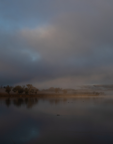A moody misty morning on a country dam - Australian Stock Image