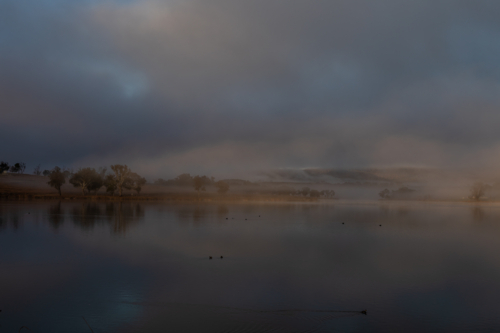 A moody misty morning on a country dam - Australian Stock Image