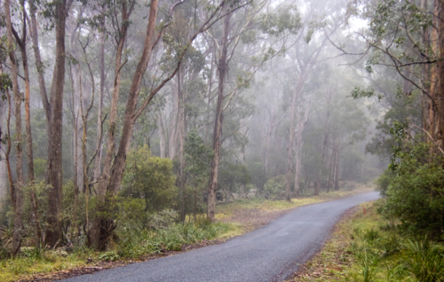 A mountain road on a misty morning - Australian Stock Image