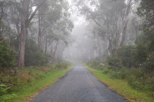 A mountain road on a misty morning - Australian Stock Image