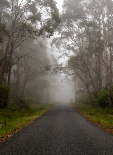 A mountain road on a misty morning - Australian Stock Image