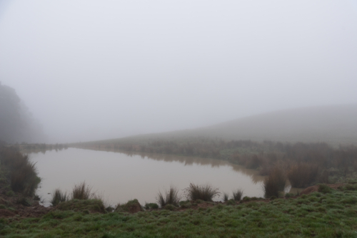 A natural water source in a misty rural setting - Australian Stock Image