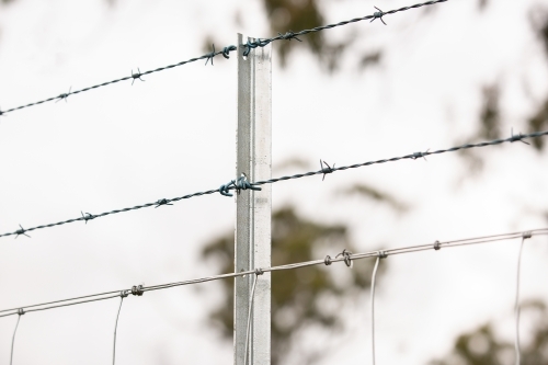 A new fenceline - Australian Stock Image