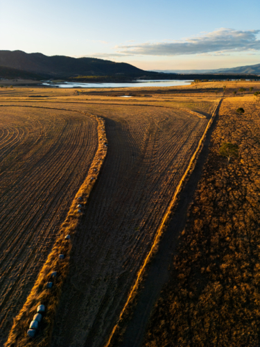 A paddock with lines of thick grass highlighted through the scene. - Australian Stock Image