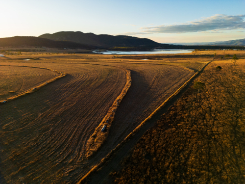 A paddock with lines of thick grass highlighted through the scene. - Australian Stock Image