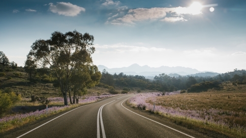 A paved road leading towards the Flinders Ranges