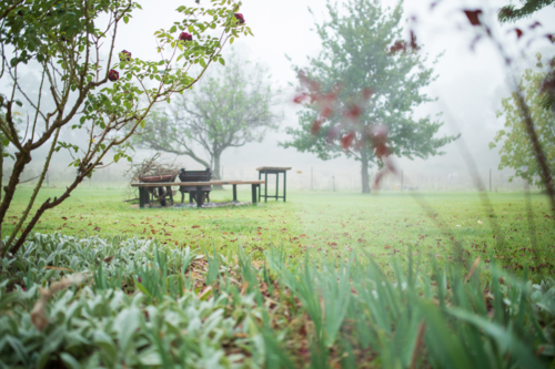 A peaceful garden scene on a misty morning, with a rustic bench by a fire pit - Australian Stock Image