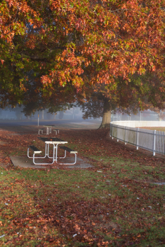 A picnic table by a white picket fence under autumn leaves on a misty morning - Australian Stock Image