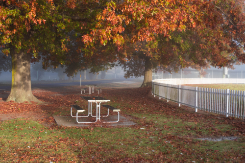 A picnic table by a white picket fence under autumn leaves on a misty morning - Australian Stock Image