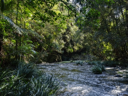 A river filled with rocks and boulders creating small rapids and flows through the forest - Australian Stock Image