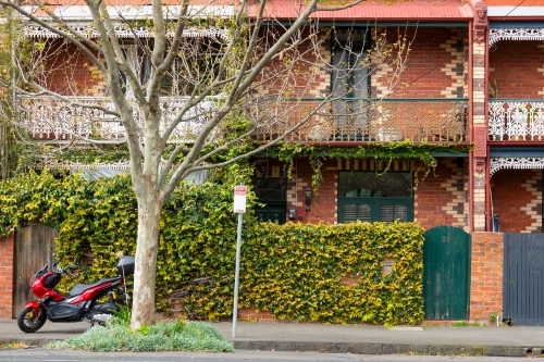 A row of double storey terraces houses on a city street with intricate brickwork and ivy - Australian Stock Image