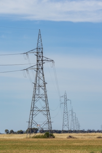 A row of electricity stanchions receding into the distance - Australian Stock Image