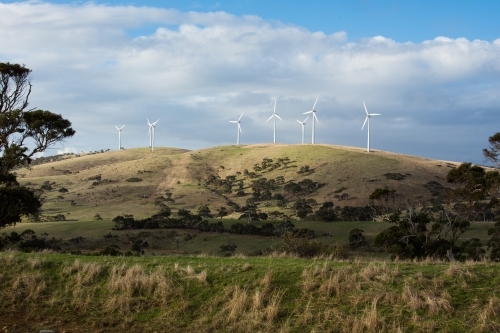 A row of wind turbines on a grassy hill amongst paddocks. - Australian Stock Image