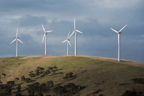 A row of wind turbines on a grassy hill in a paddock - Australian Stock Image