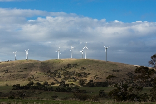 A row of wind turbines on a grassy hill in a paddock - Australian Stock Image