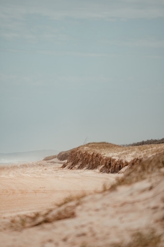 A sand dune with 4WD tyre tracks around it on Spit Fire Beach