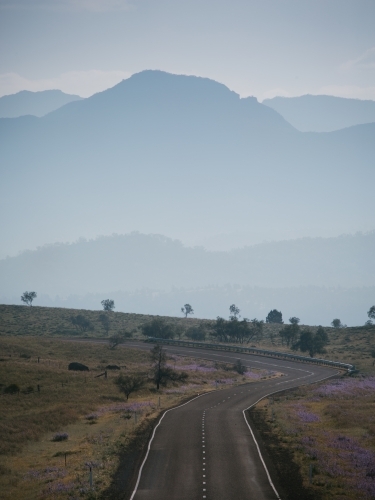 A sealed road leading through the Flinders Ranges