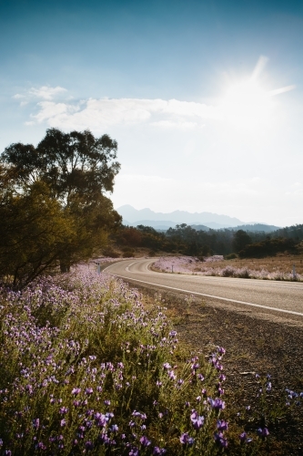 A sealed road leading through the Flinders Ranges - Australian Stock Image