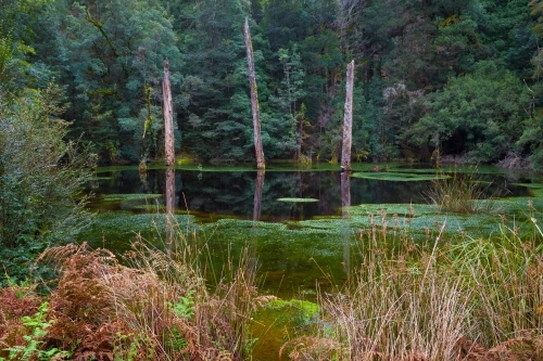 A sinkhole - Australian Stock Image