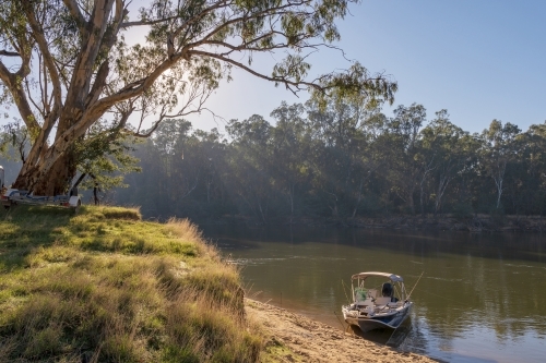 A small boat anchored on the side of a river with sunshine breaking through an overhanging gum tree