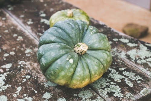 A small green pumpkin sitting on a weathered wooden table
