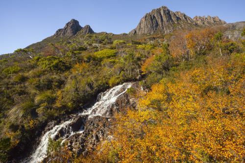 A small stream flowing off Cradle Mountain - Australian Stock Image