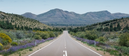 A straight tarred road leading through the Flinders Ranges