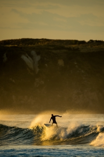 A surfer at first light on Woolamai Surf Beach. - Australian Stock Image