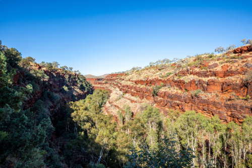 A sweeping red layered gorge lined with lush green trees stretches under a clear blue sky - Australian Stock Image