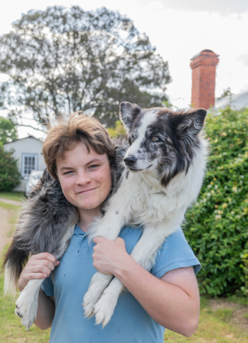 A teenage boy with his koolie dog over his shoulders - Australian Stock Image