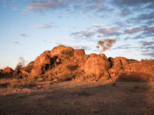 A tree and large rocks at sunset outside Tibooburra, New South Wales - Australian Stock Image