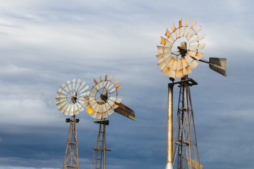 A trio of rusted outback windmills