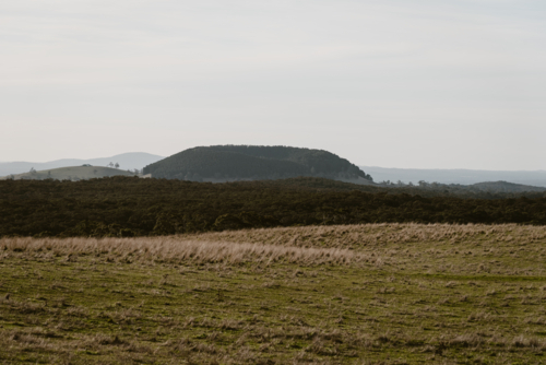 a view of Mt Franklin from a rural field - Australian Stock Image