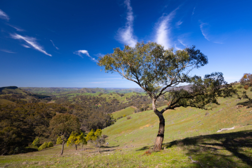A view over Strath Creek from Murchison Gap Lookout on a clear sunny spring day in Victoria - Australian Stock Image