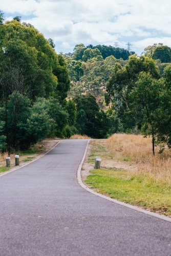 A walking path through the lush trees in the park. - Australian Stock Image