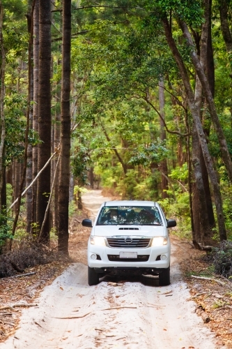 A white four wheel drive travelling along a sand track in the Central Station area of Fraser Island - Australian Stock Image