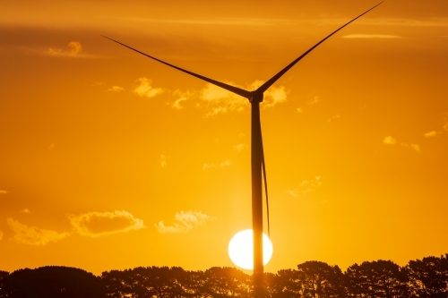 A wind turbine silhouetted against the setting sun and a golden sky