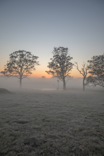 A windmill and a misty morning country scene - Australian Stock Image