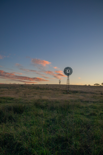 A windmill and a soft dawn sky - Australian Stock Image