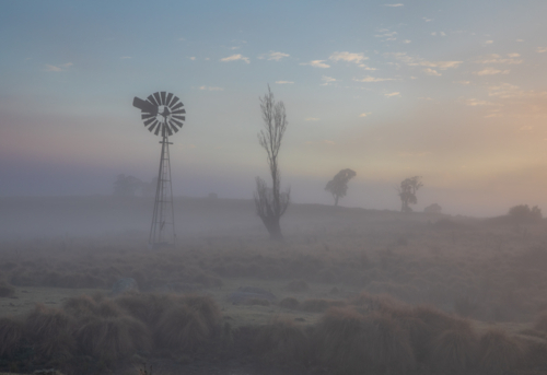 A windmill and a tree silhouette on a misty morning - Australian Stock Image