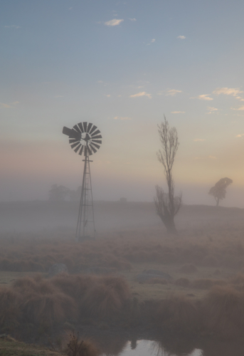 A windmill and a tree silhouette on a misty morning - Australian Stock Image