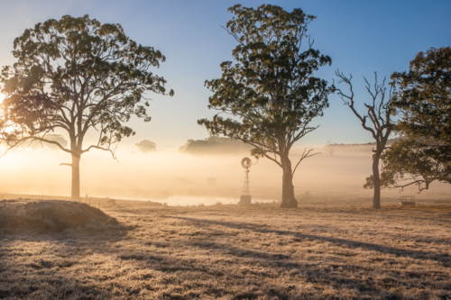 A windmill in the country on a misty morning - Australian Stock Image