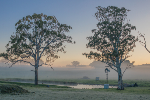 A windmill in the country on a misty morning - Australian Stock Image