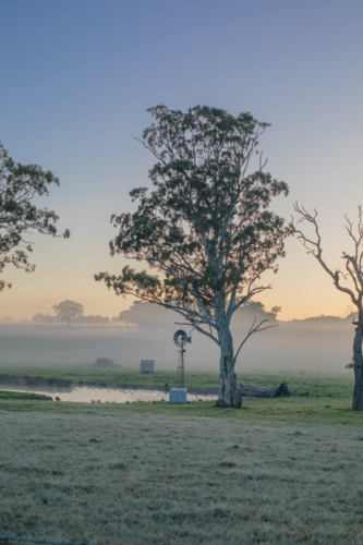 A windmill in the country on a misty morning - Australian Stock Image