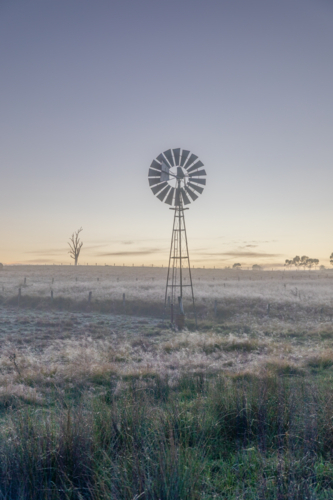 A winter's morning, a frozen field, a soft dawn sky and a windmill - Australian Stock Image
